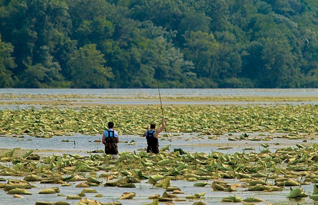 5 Favorite Lakes for Fishing in Illinois