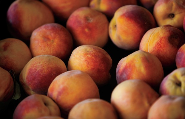 Farm Focus: Peaches