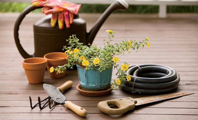 Tips for the Aging Gardener