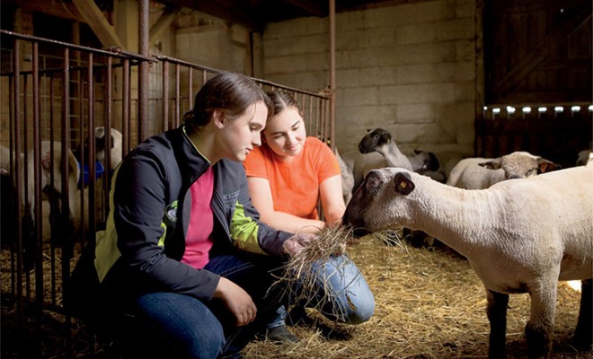 Haag Family Shows Animal Care in All Aspects of Farming