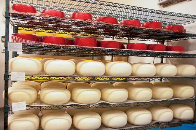 Ludwig Farmstead Creamery