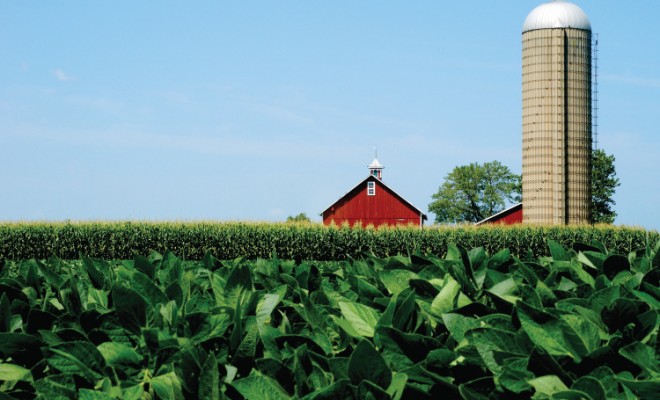 Illinois soybean farm landscape red barn and silo