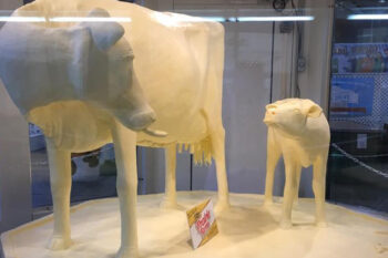 butter cow at Illinois state fair