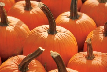 Pumpkinfest