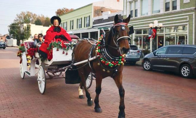 woman riding horse-drawn carriage decorated for christmas