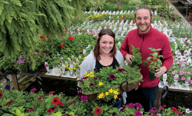 Homer Glen Specialty Growers are a Perfect Pick