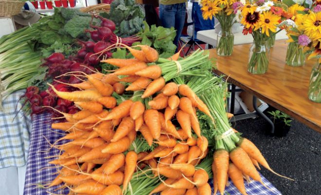 Visit the Land of Goshen Community Market This Summer