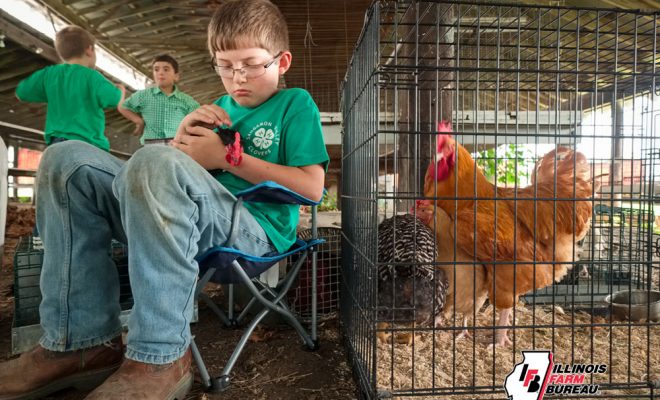 4-H Showcases ‘Learning to Do’