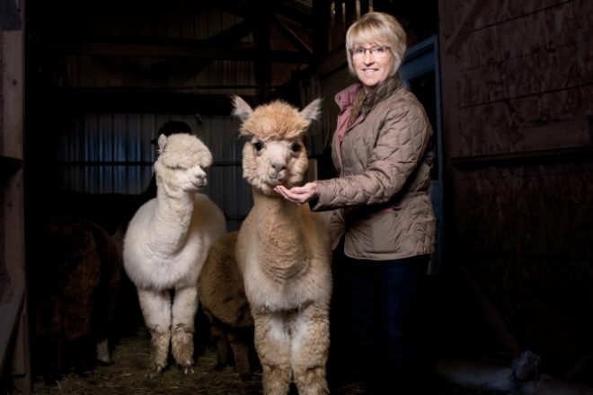 Illinois alpaca farms