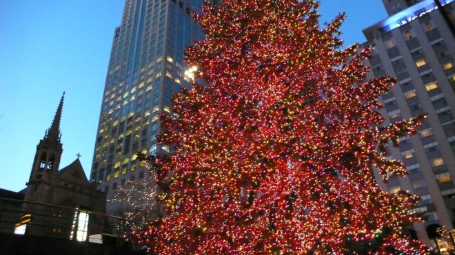Chicago Christmas Tree