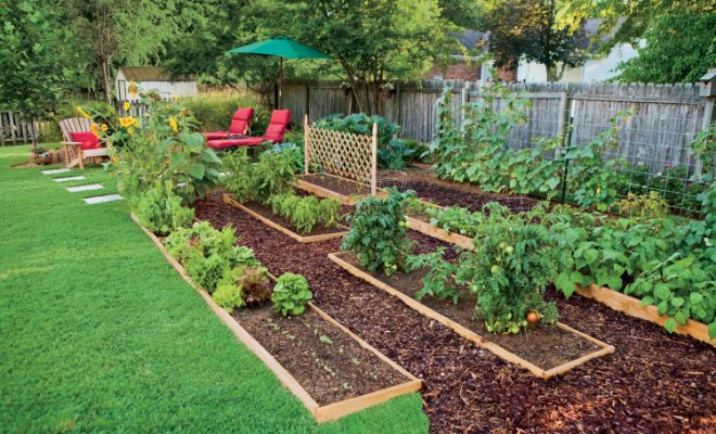 Start a Garden in Six Simple Steps