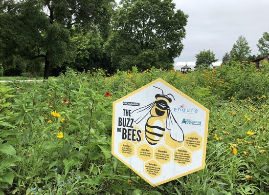 Jasper County Farm Bureau Creates Buzz for Pollinator Habitat