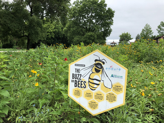 Jasper County pollinators