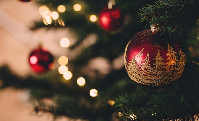 13 Things You Didn’t Know About Christmas Trees