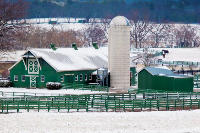 winter farm