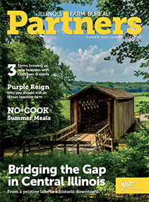 Illinois Partners summer 2019 cover