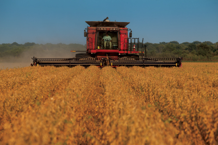 Soybean harvest is a fall favorite