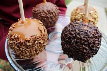 Illinois candy shops