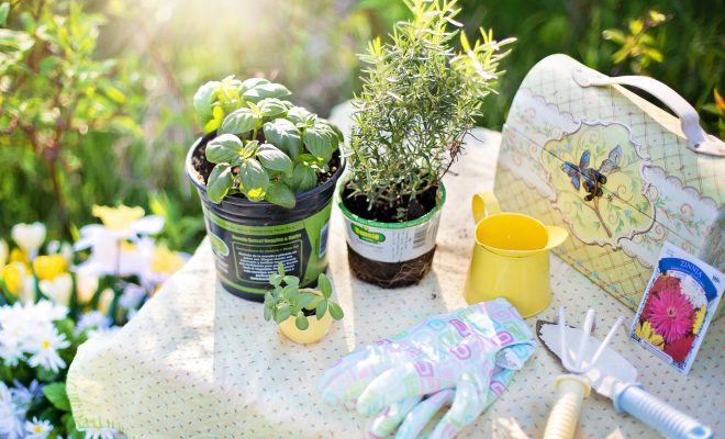 Use the Off-Season to Grow Your Gardening Expertise