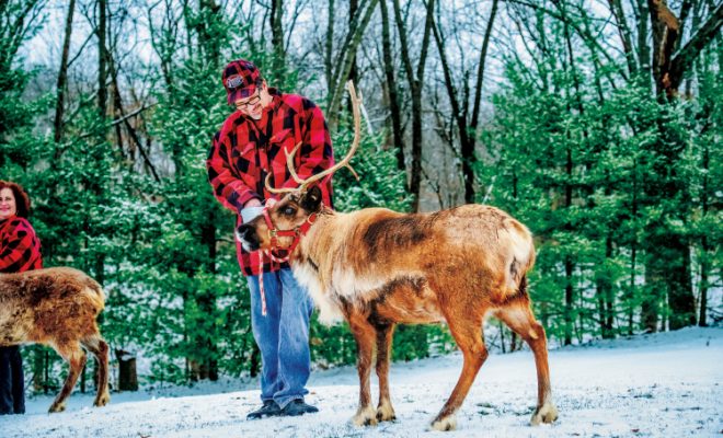 Get in the Holiday Spirit at Snowman’s Reindeer Farm in Canton, Illinois