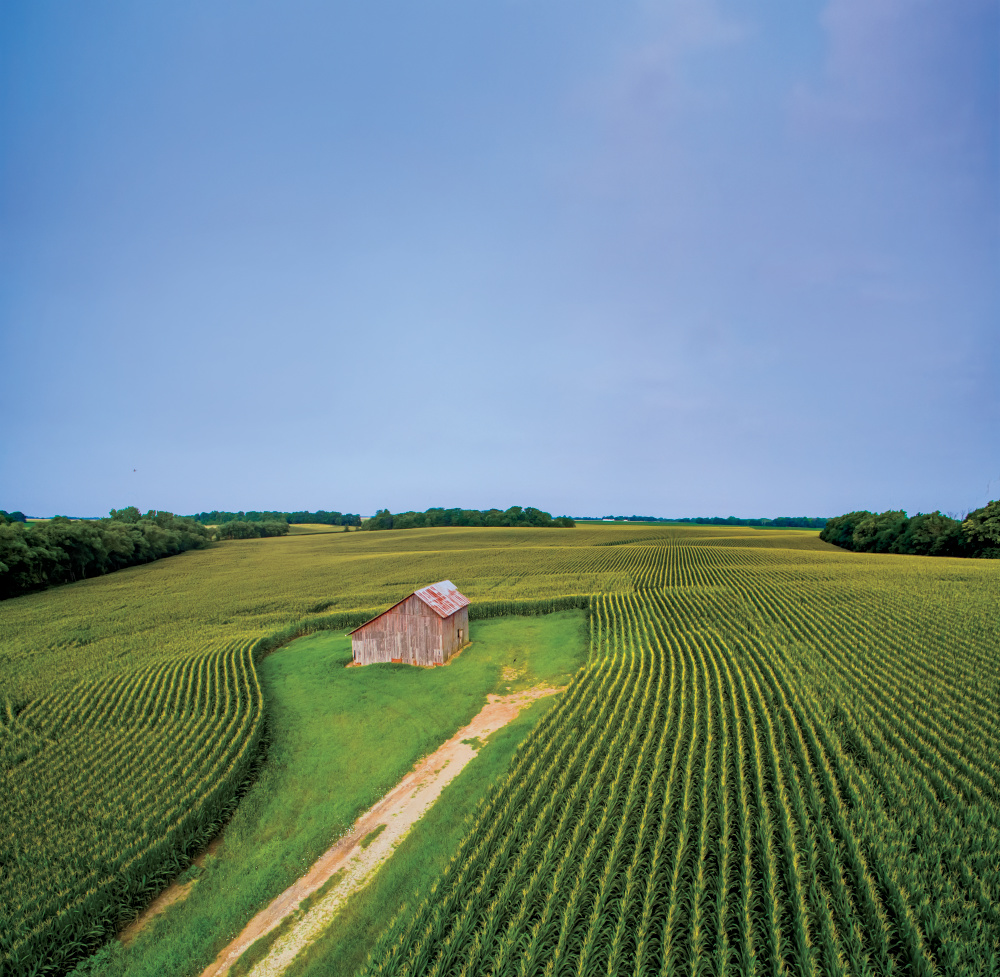 drone shot of Illinois cornfield