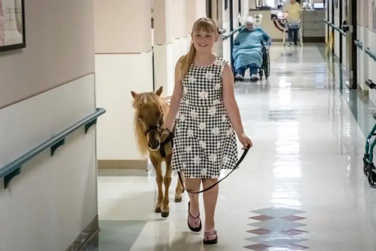 Heartland Mini Hoofs - Illinois Farm Bureau Partners