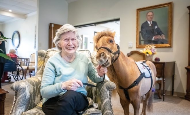 Heartland Mini­Hooves of Taylorville, Illinois, offers visits from miniature therapy horses for nursing homes