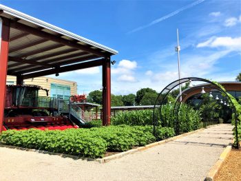 St. Louis Science Center GROW Gallery