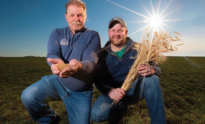 Harold Wilken and his son, Ross, grow organic wheat and other crops on their family farm in Ashkum