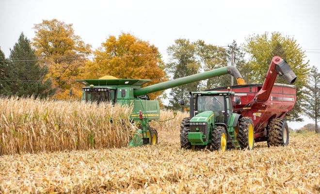 Harvest Routine Brings Normalcy During Pandemic