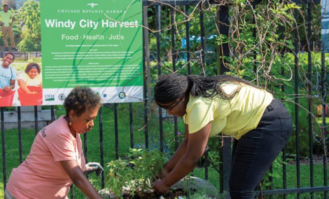 Discover Gardening Workshops in the Windy City