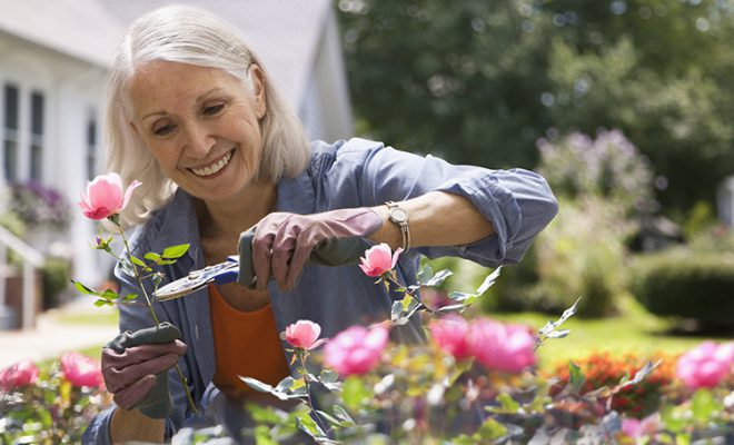 woman pruning flowers in backyard garden