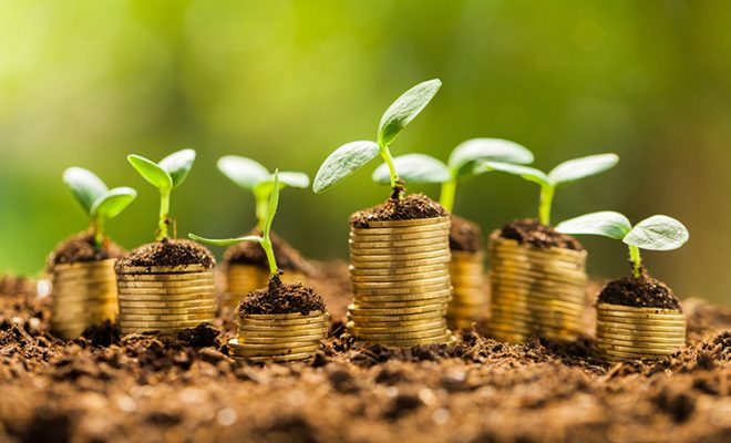 How to Sow the Seeds of Financial Security