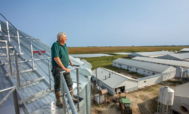 Where Does Illinois-Grown Food, Feed and Fuel Go?
