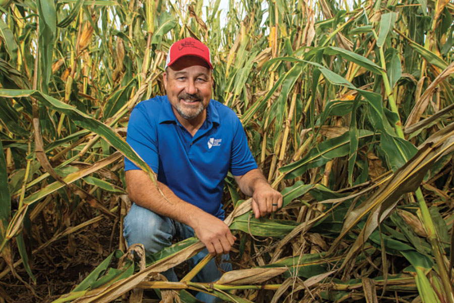 Jeff Kirwan kneels next to stalks or corn damaged in a wind storm at his farm near New Windsor.