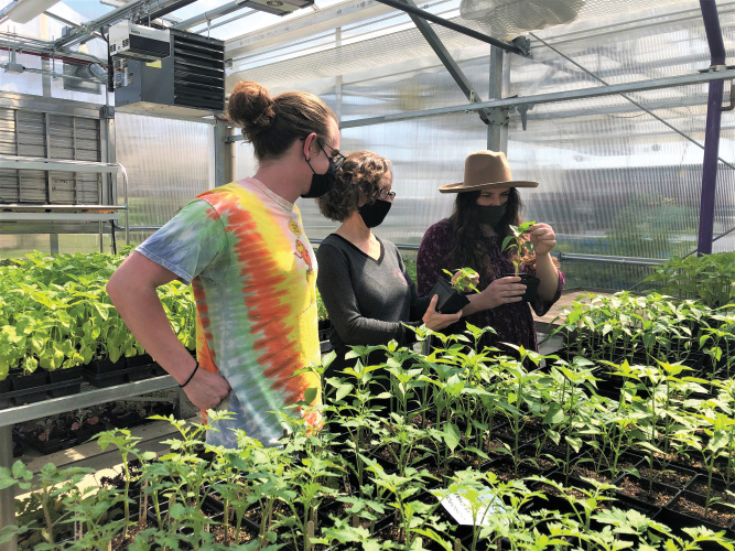 Expanding Ag Opportunities in Academia