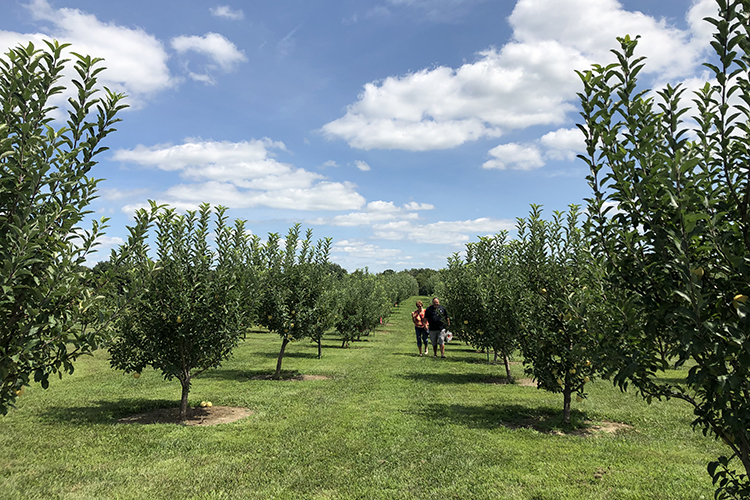Illinois MarketMaker