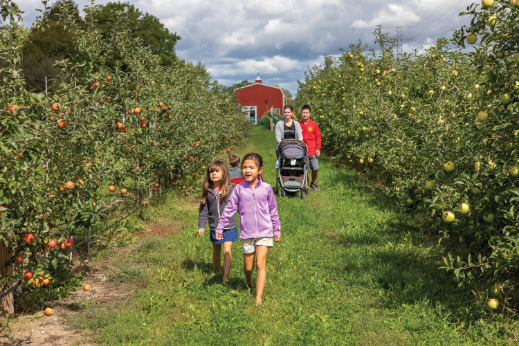 Kayley and Emmy Wong walk through the apple trees at Valley Orchard in Cherry Valley.