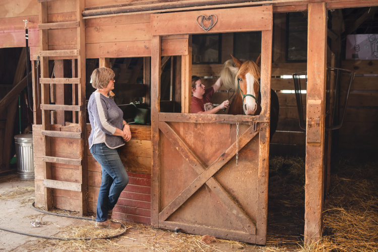 Janet McCabe talks with her daughter-in-law Jess McCabe as she brushes a horse