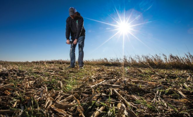 Cover Crops Protect Soil Between Growing Seasons (VIDEO)