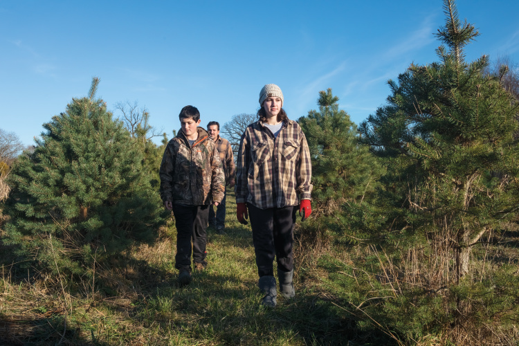 Brian Helmig walks between rows of Christmas trees with his daughter Isabella and son Aidan