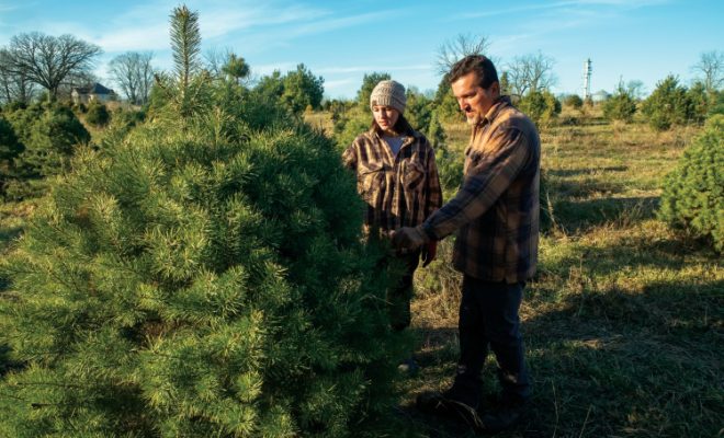 Illinois Christmas Tree Growers Keep Holiday Tradition Fresh