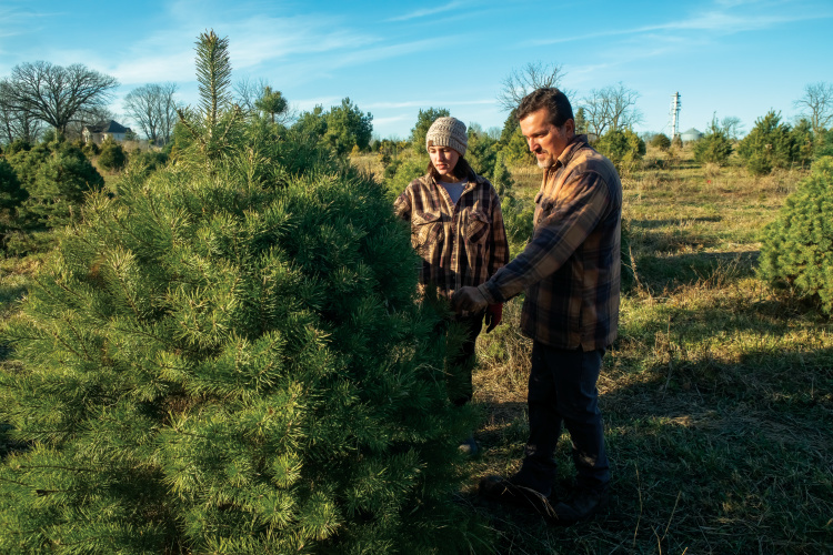 Brian Helmig and his daughter Isabella inspect some trees