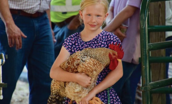 Girl holds a chicken