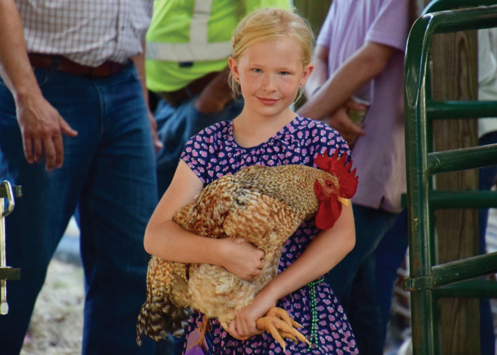 Girl holds a chicken