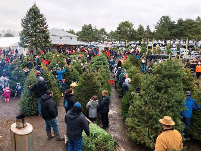 Overview shot of Richardson Farm