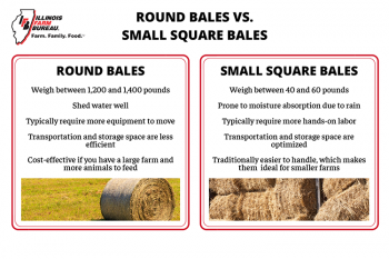 Round Bales Vs. Small Square Bales