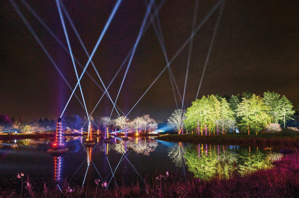 Morton Arboretum Illumination event