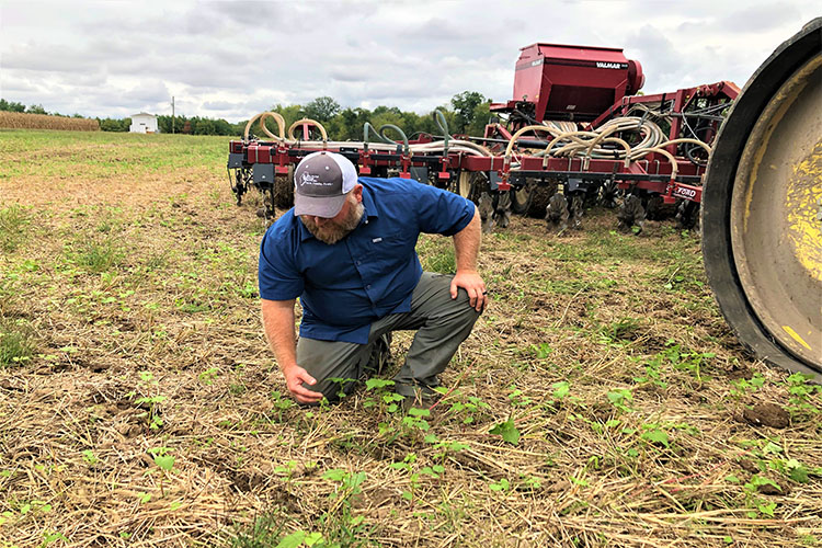 Farmer looks at cover crops