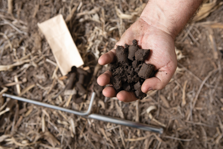 Greg St. Aubin holds solid samples